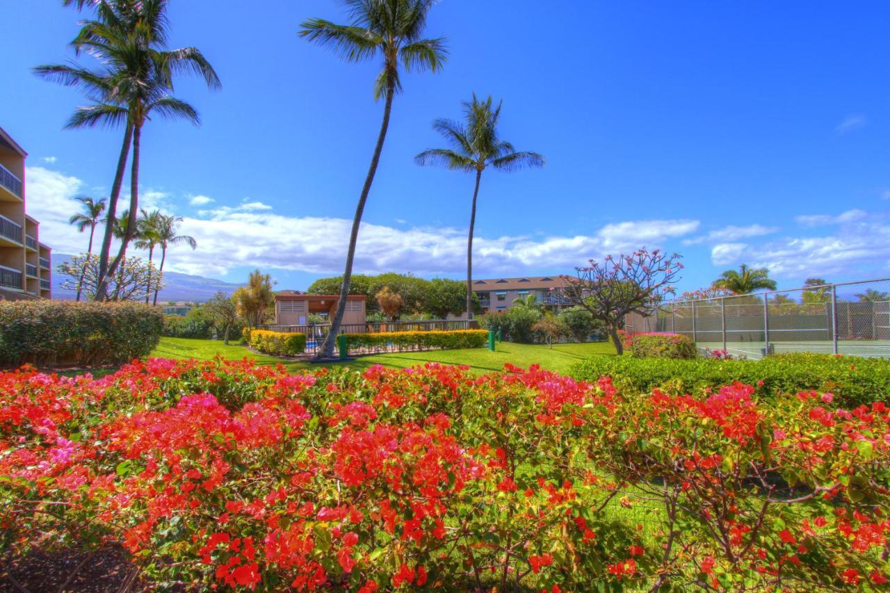 Maui Vista 2220 Apartment Kihei Exterior photo